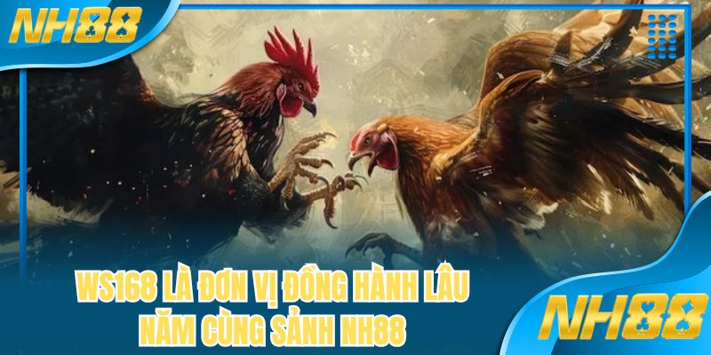 WS168 là đơn vị đồng hành lâu năm cùng sảnh NH88